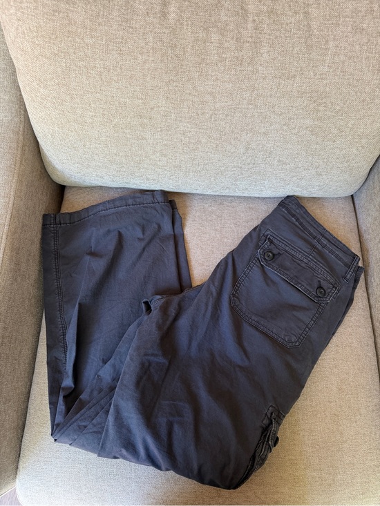 American Eagle Outfitters Pants - American Eagle Outfitters Cargo Pants in Dark Grey
